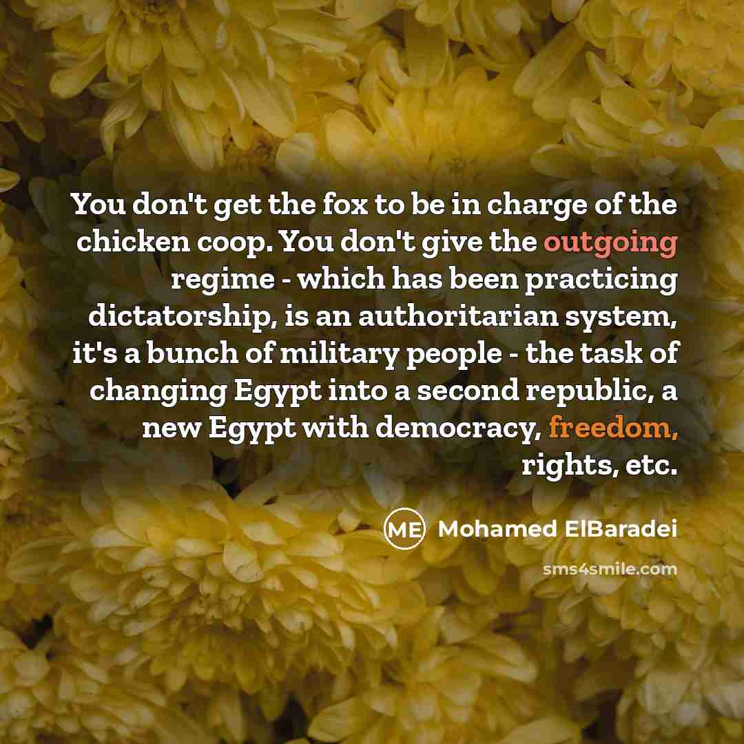 “You don't get the fox to be in charge of…” quote by Mohamed ElBaradei