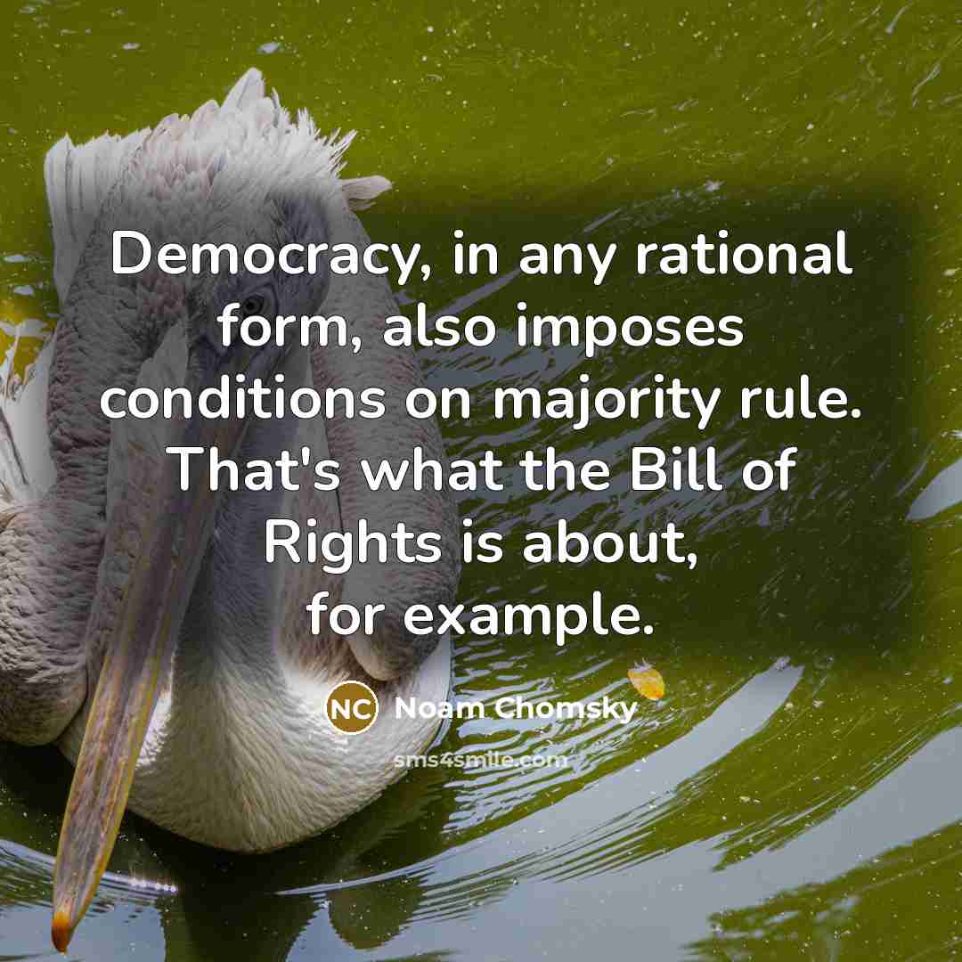 “Democracy, in any rational form, also imposes conditions on majority…” quote by Noam Chomsky