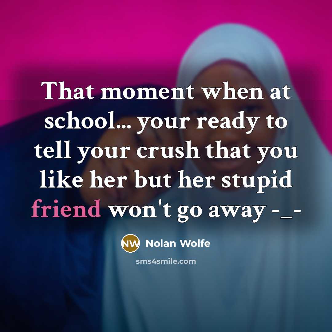 “That moment when at school... your ready to tell your crush that you like her but her stupid friend won't go away -_-” quote by Nolan Wolfe