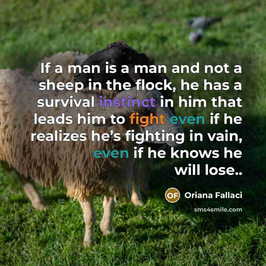 “If a man is a man and not a sheep in the flock, he has a survival instinct in him that leads him to fight even if he realizes he’s fighting in vain, even if he knows he will lose..” quote by Oriana Fallaci