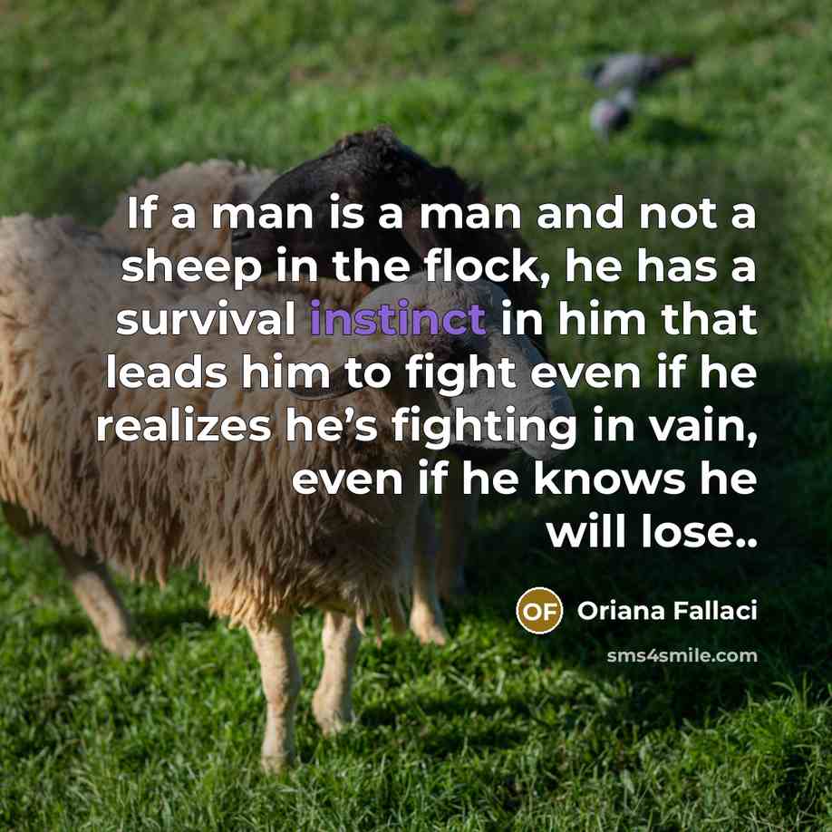 “If a man is a man and not a sheep…” quote by Oriana Fallaci