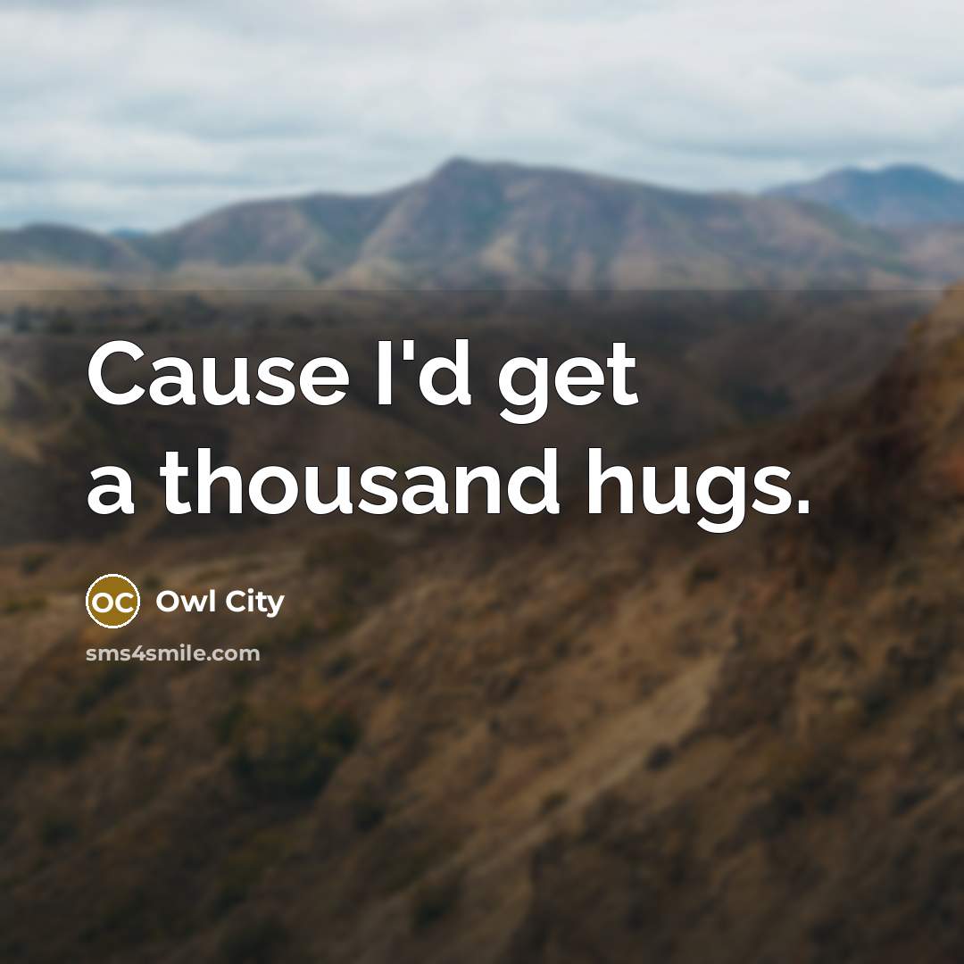 “Cause I'd get a thousand hugs.…” quote by Owl City