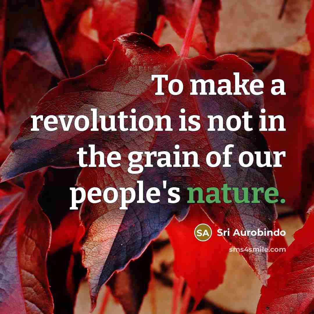 “To make a revolution is not in the grain of…” quote by Sri Aurobindo