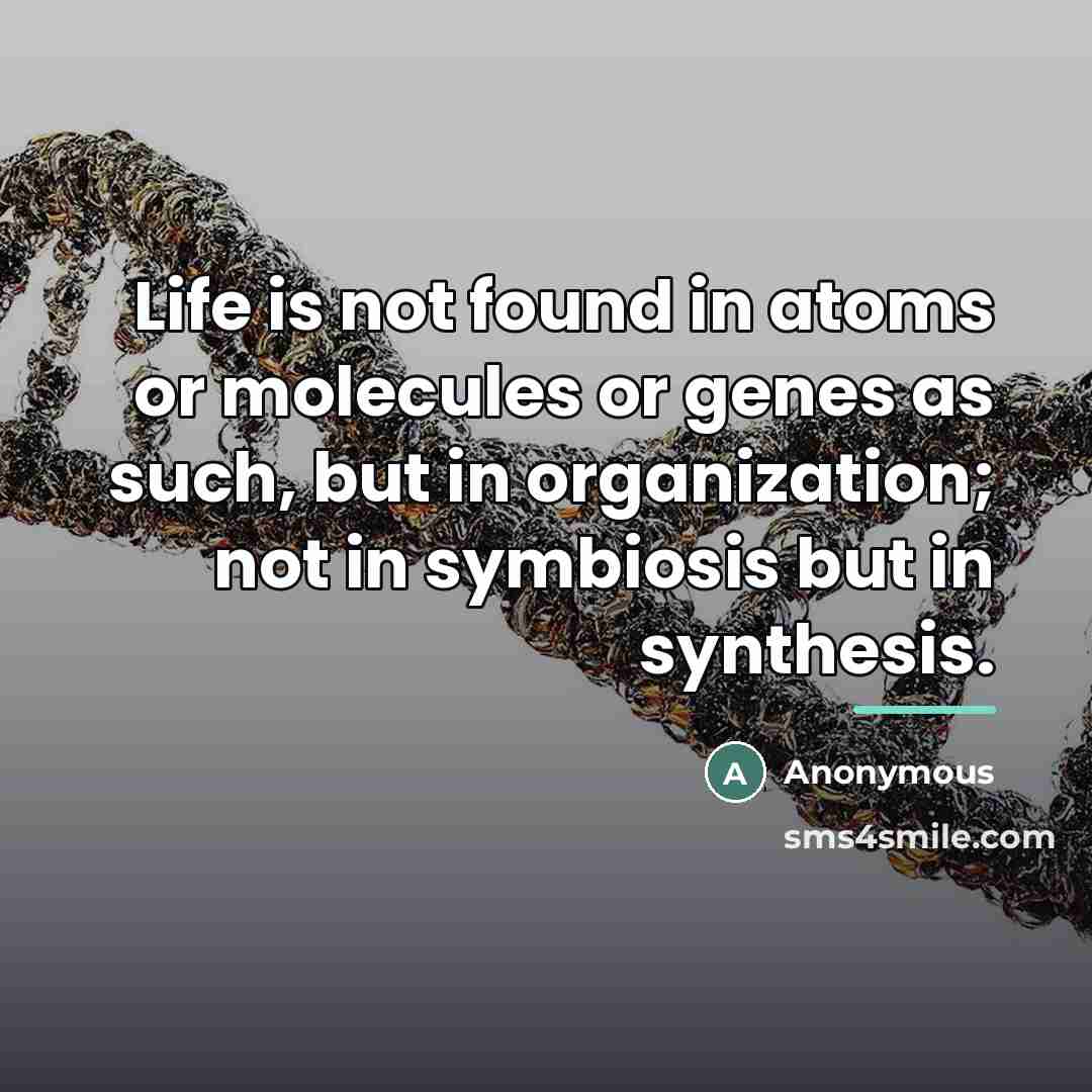 “Life is not found in atoms or molecules or genes…” quote by Anonymous