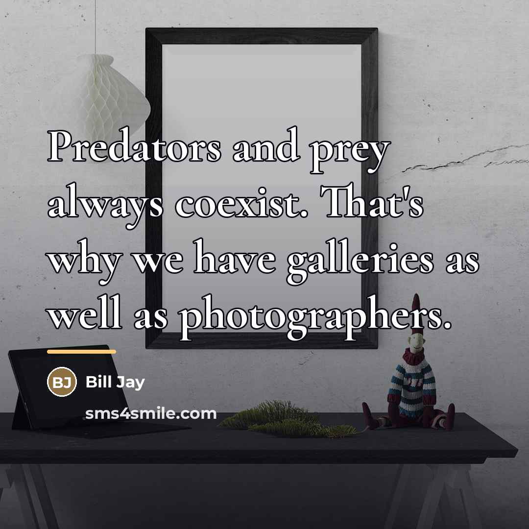 “Predators and prey always coexist. That's why we have galleries…” quote by Bill Jay