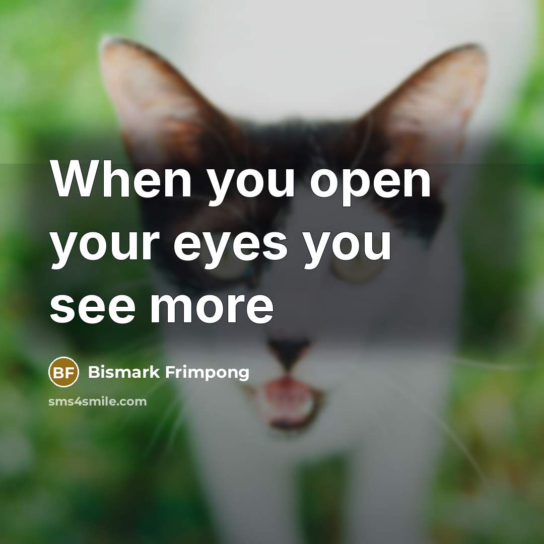 “When you open your eyes you see more…” quote by Bismark Frimpong