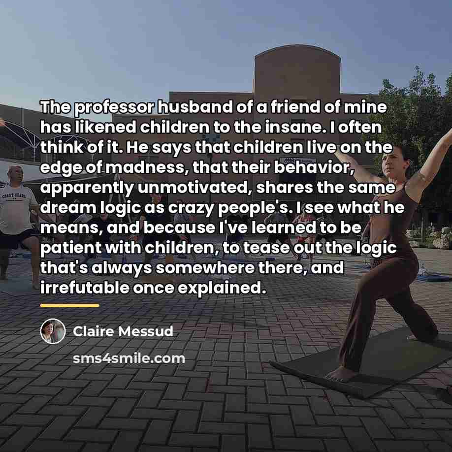 “The professor husband of a friend of mine has likened…” quote by Claire Messud