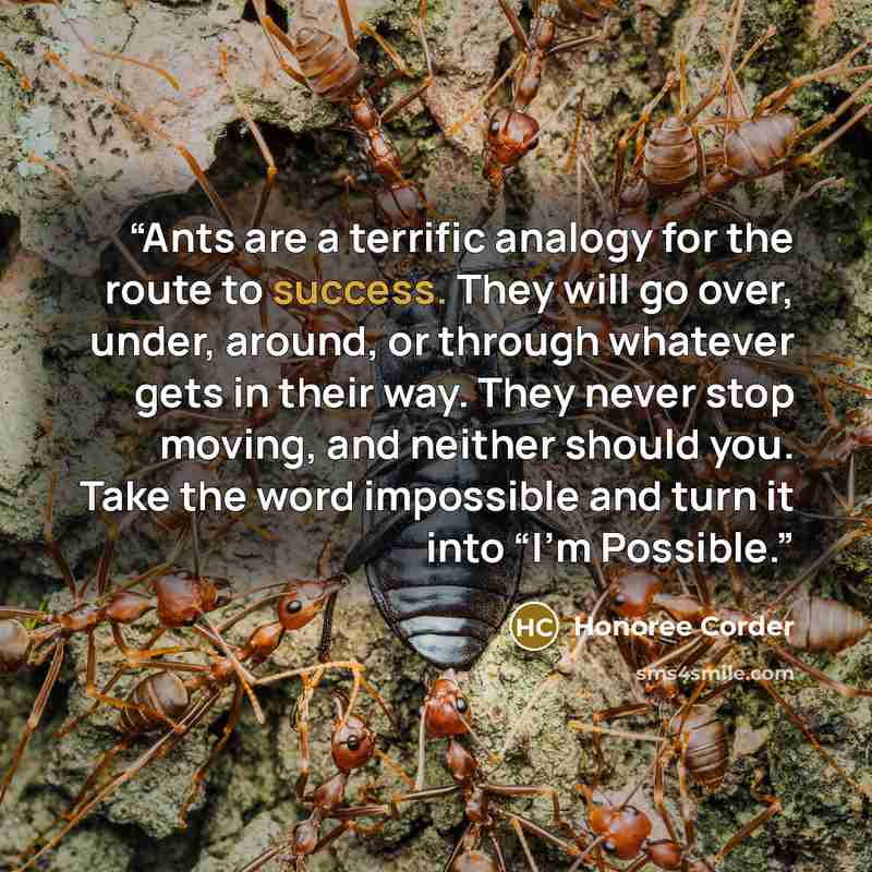 “Ants are a terrific analogy for the route to success. They will go over, under, around, or through whatever gets in their way. They never stop moving, and neither should you. Take the word impossible and turn it into “I’m Possible.” quote by Honoree Corder