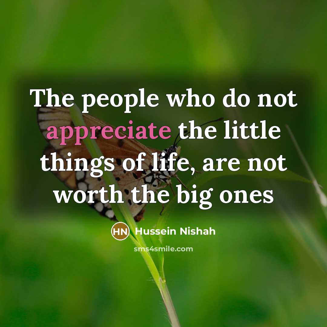 “The people who do not appreciate the little things of…” quote by Hussein Nishah