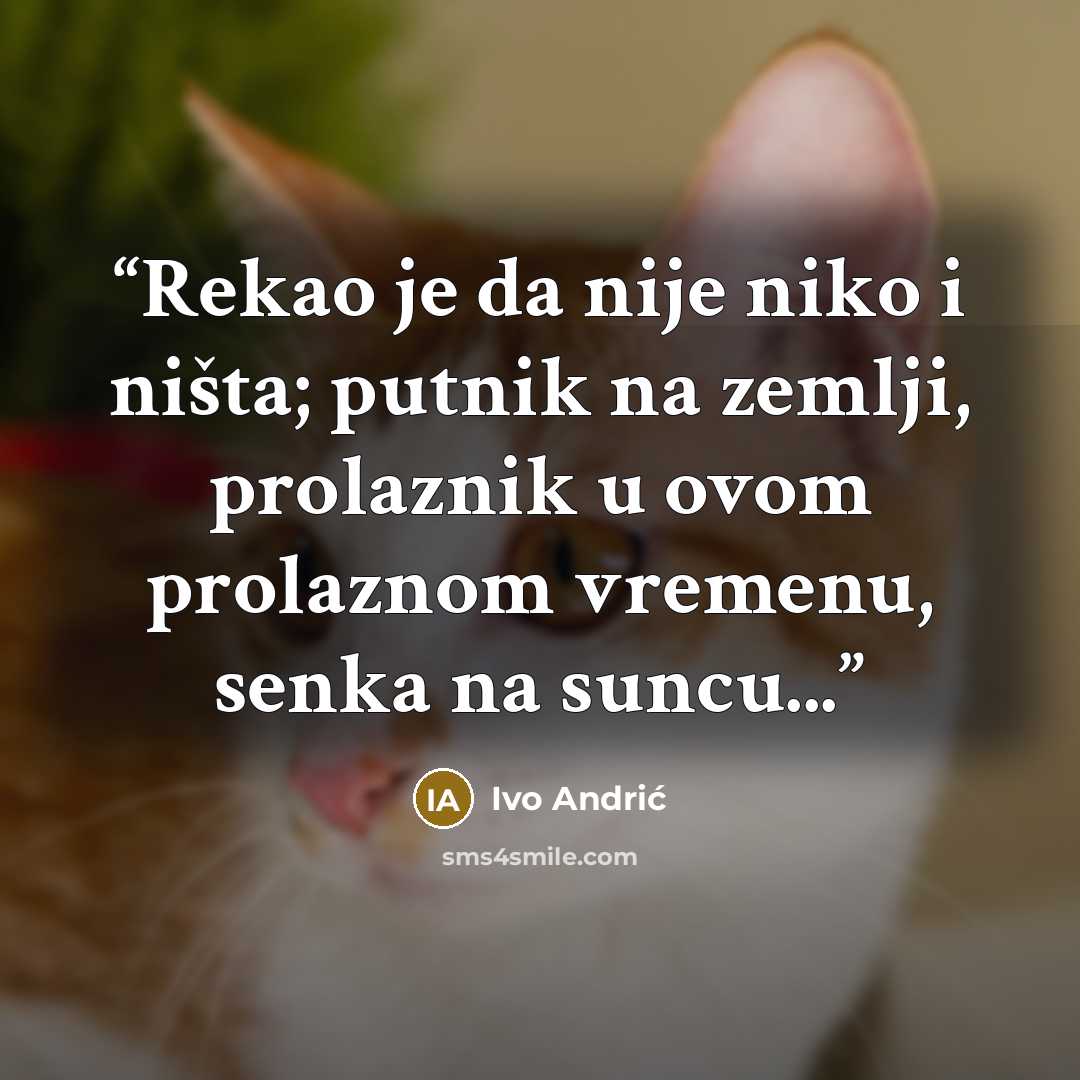 “Rekao je da nije niko i ništa; putnik na zemlji, prolaznik u ovom prolaznom vremenu, senka na suncu...” quote by Ivo Andrić
