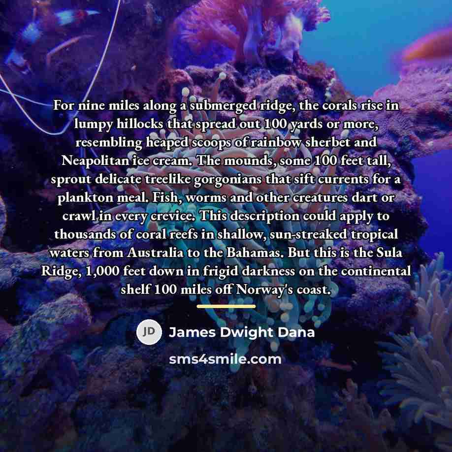 “For nine miles along a submerged ridge, the corals rise…” quote by James Dwight Dana