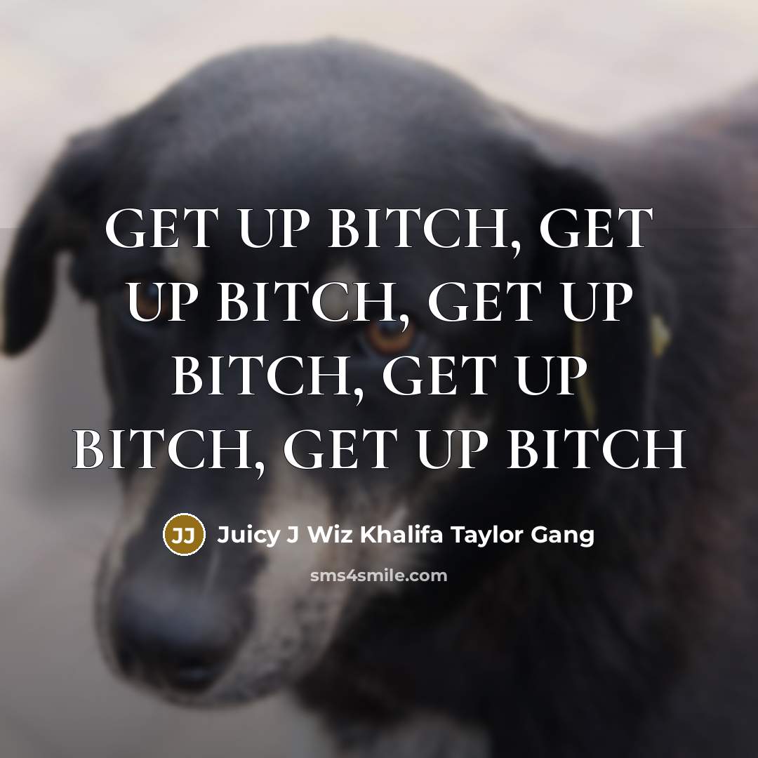 “GET UP BITCH, GET UP BITCH, GET UP BITCH, GET UP BITCH, GET UP BITCH” quote by Juicy J Wiz Khalifa Taylor Gang