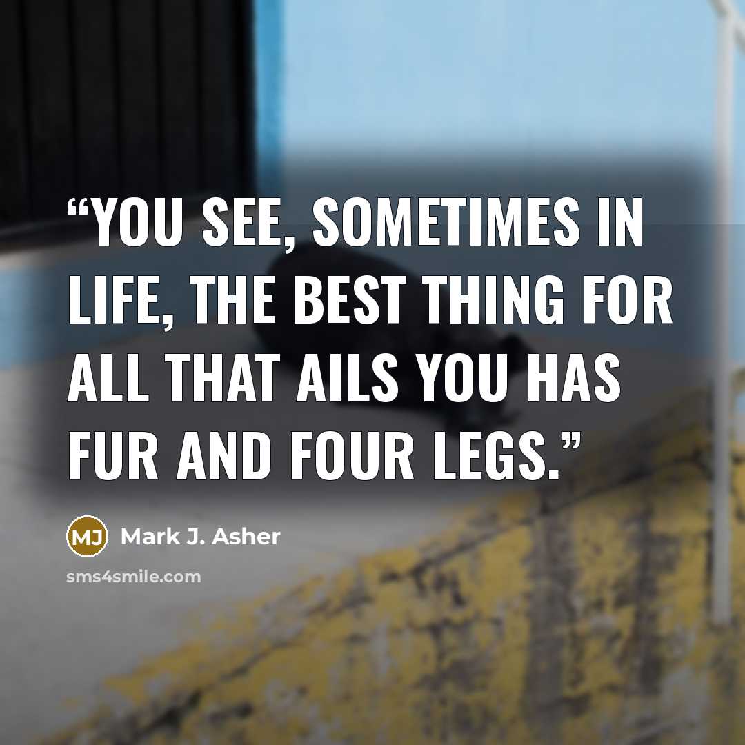 “You see, sometimes in life, the best thing for all that ails you has fur and four legs.” quote by Mark J. Asher