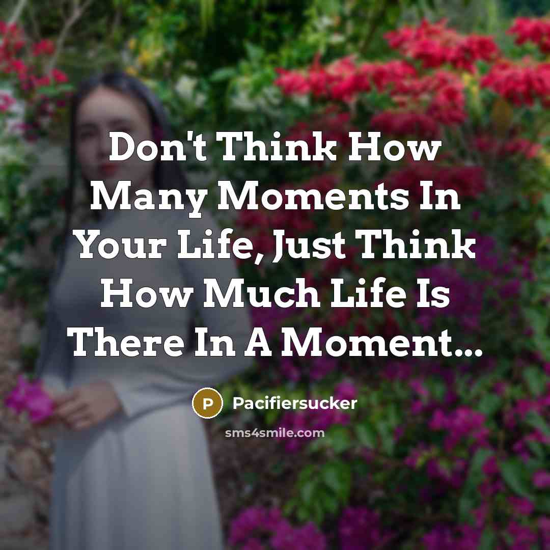 “Don't Think How Many Moments In Your Life, Just Think…” quote by Pacifiersucker