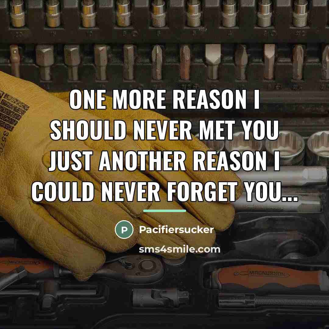 “One More Reason I Should Never Met You Just Another…” quote by Pacifiersucker