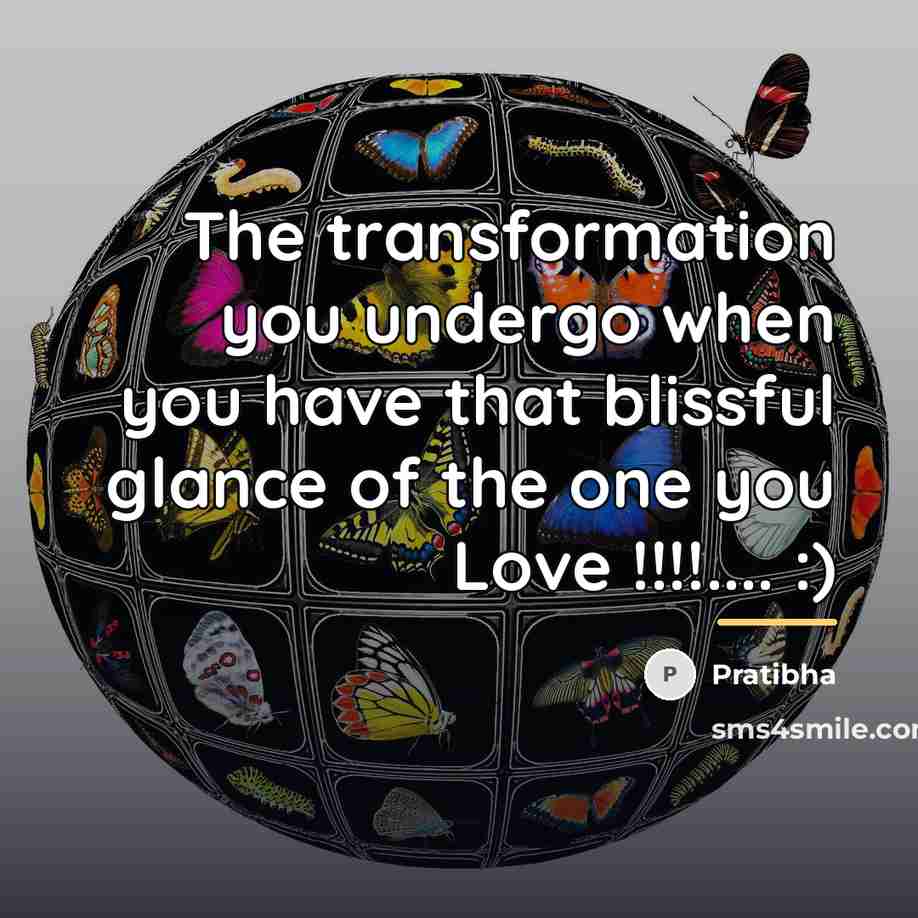 “The transformation you undergo when you have that blissful glance…” quote by Pratibha