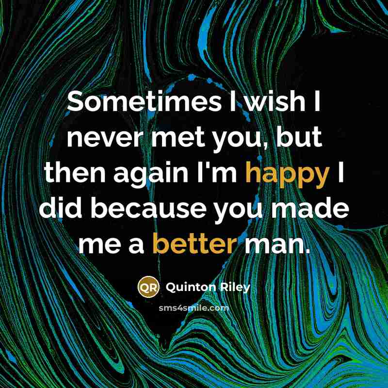 “Sometimes I wish I never met you, but then again…” quote by Quinton Riley