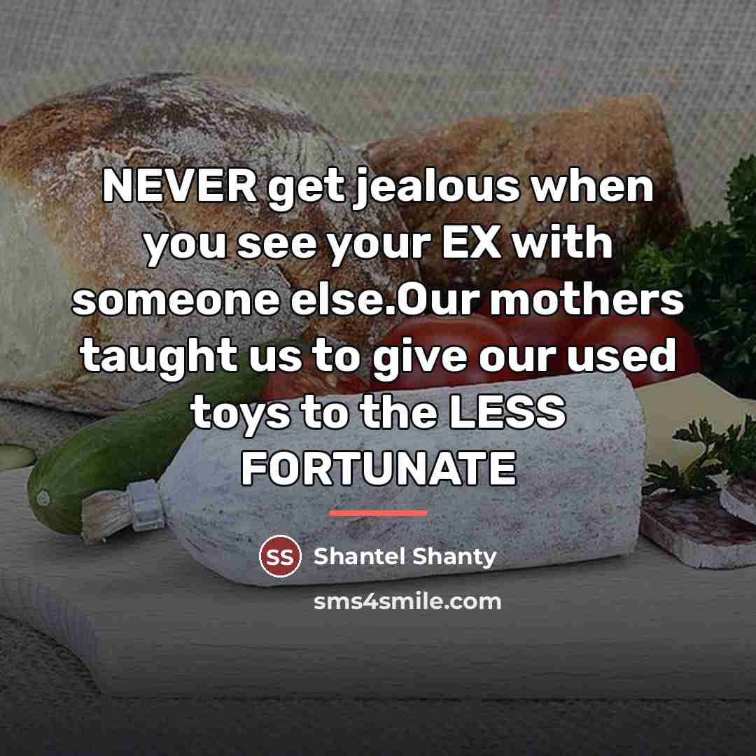 “NEVER get jealous when you see your EX with someone…” quote by Shantel Shanty