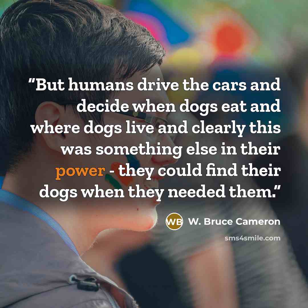 “But humans drive the cars and decide when dogs eat and where dogs live and clearly this was something else in their power - they could find their dogs when they needed them.” quote by W. Bruce Cameron
