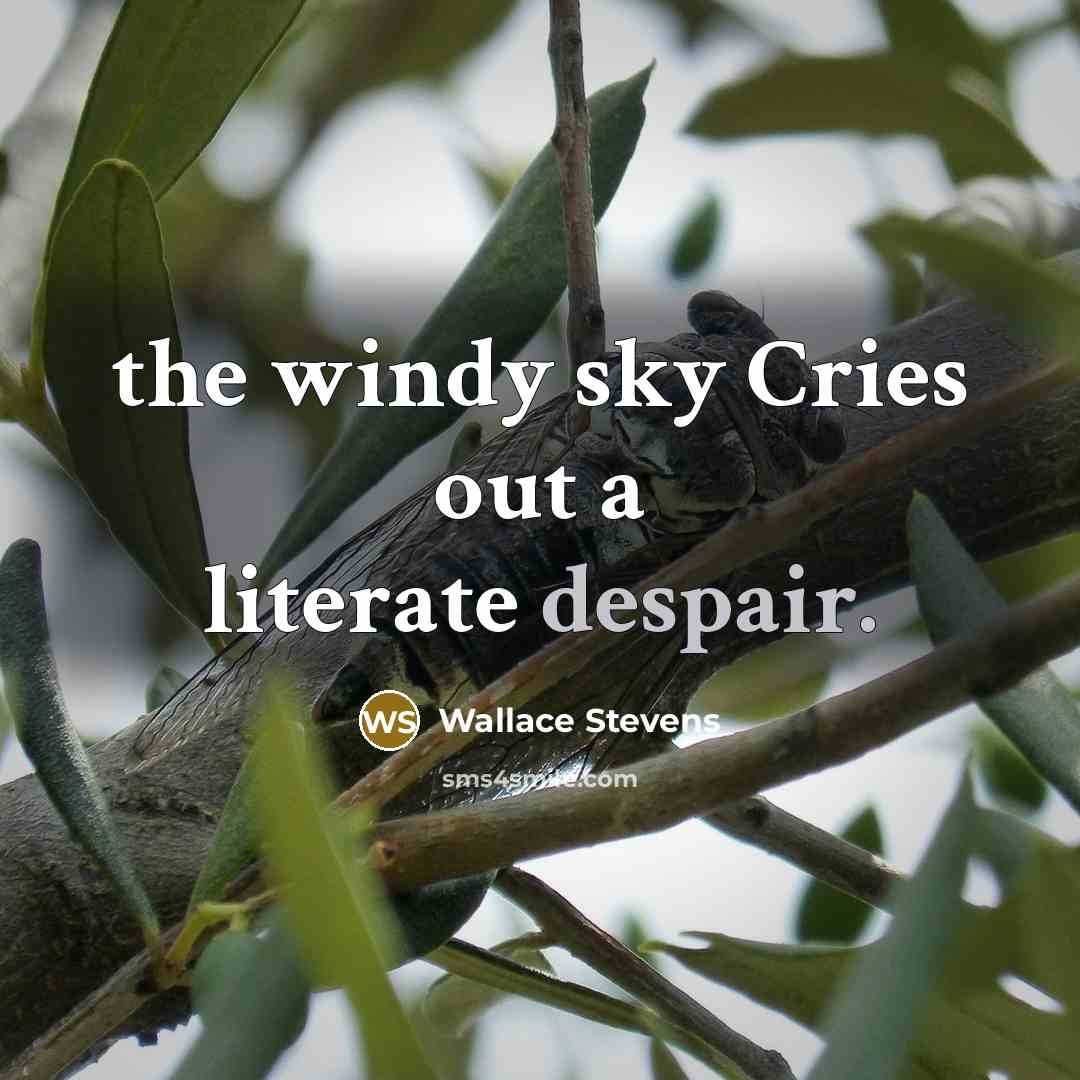 “the windy sky Cries out a literate despair.…” quote by Wallace Stevens