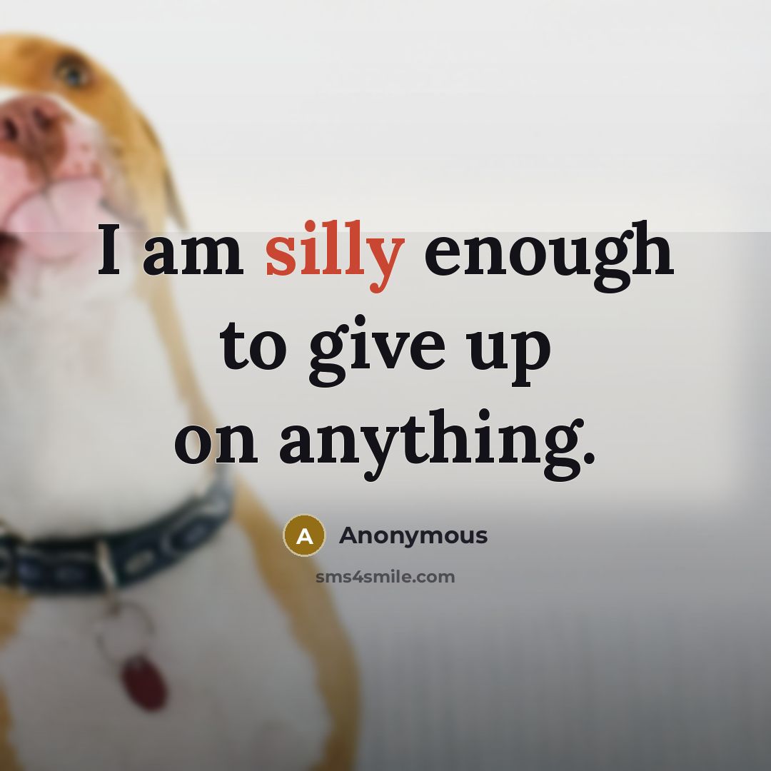 “I am silly enough to give up on anything.” quote by Anonymous