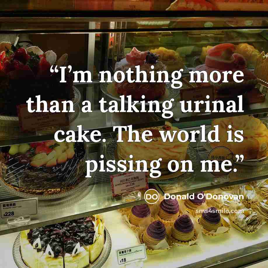 “I’m nothing more than a talking urinal cake. The world is pissing on me.” quote by Donald O'Donovan