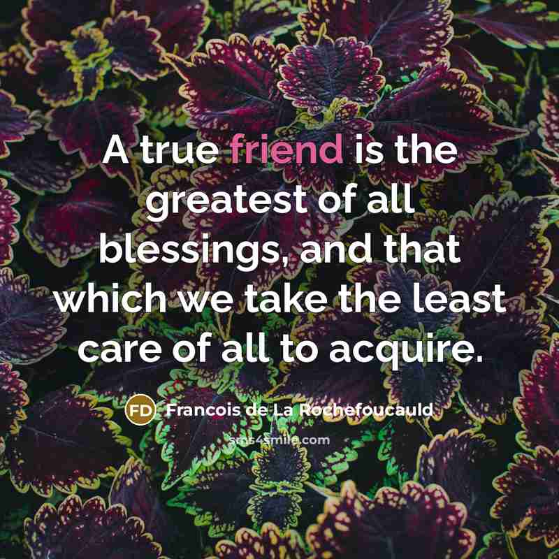 “A true friend is the greatest of all blessings, and…” quote by Francois de La Rochefoucauld