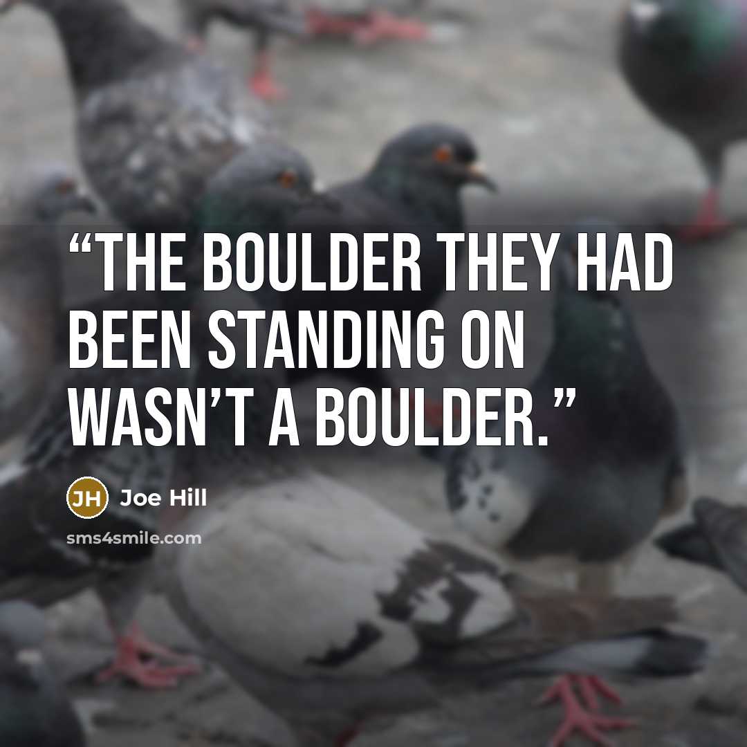 “The boulder they had been standing on wasn’t a boulder.” quote by Joe Hill