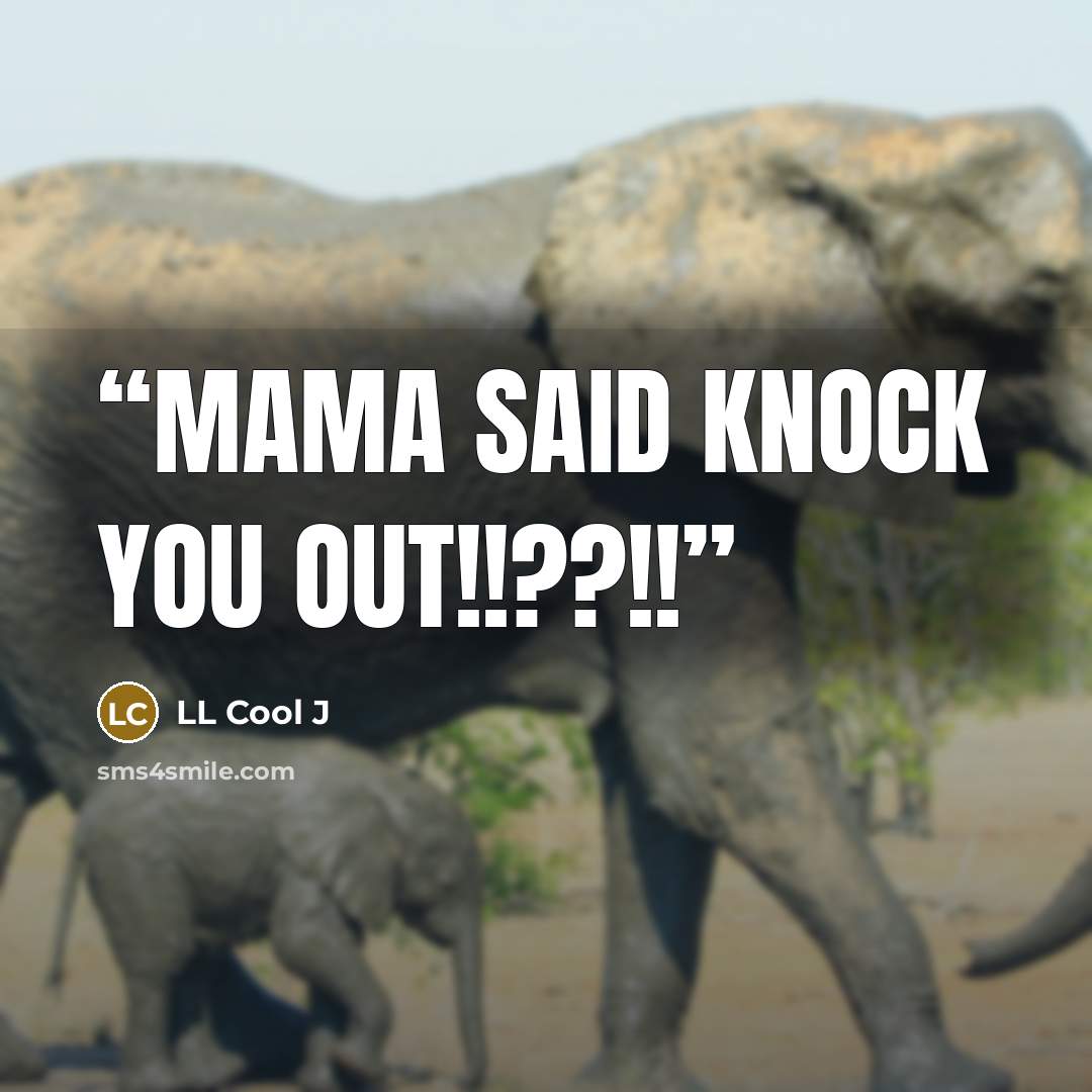 “Mama said knock you out!!??!!” quote by LL Cool J
