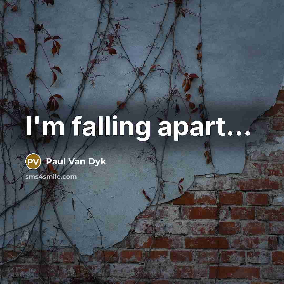 “I'm falling apart...…” quote by Paul Van Dyk