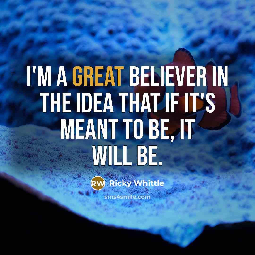 “I'm a great believer in the idea that if it's…” quote by Ricky Whittle