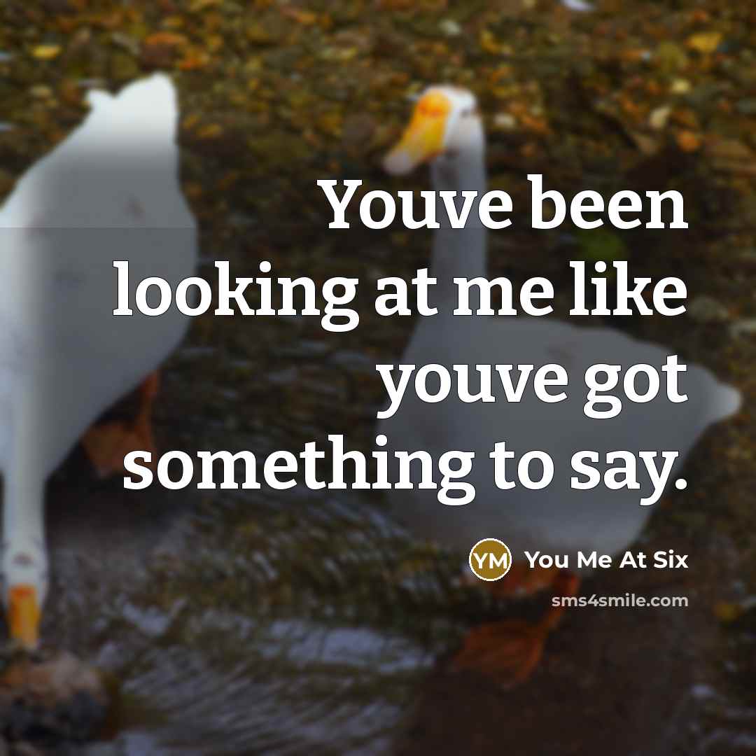 “Youve been looking at me like youve got something to…” quote by You Me At Six