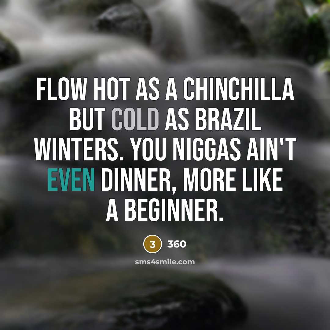“Flow hot as a chinchilla but cold as Brazil winters. You niggas ain't even dinner, more like a beginner.” quote by 360