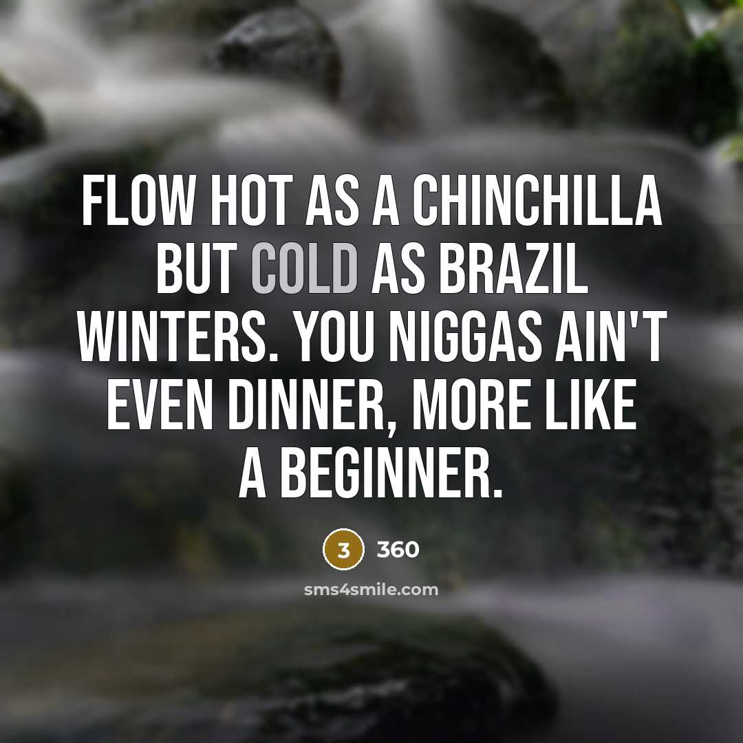 “Flow hot as a chinchilla but cold as Brazil winters.…” quote by 360