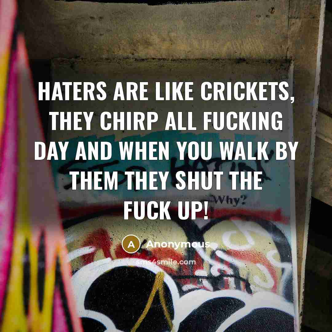 “Haters are like crickets, they chirp all fucking day and…” quote by Anonymous