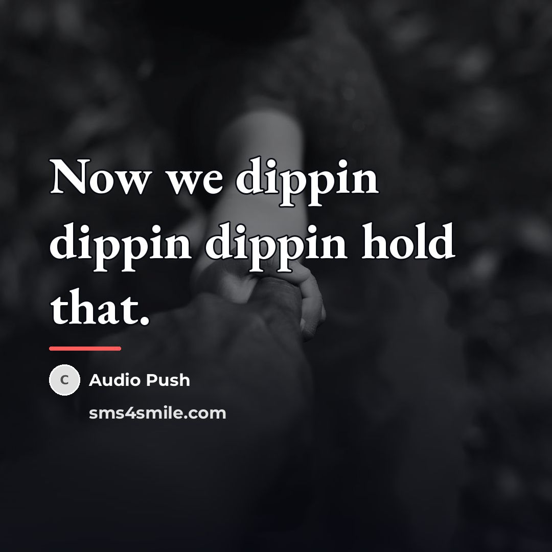 “Now we dippin dippin dippin hold that.…” quote by Audio Push