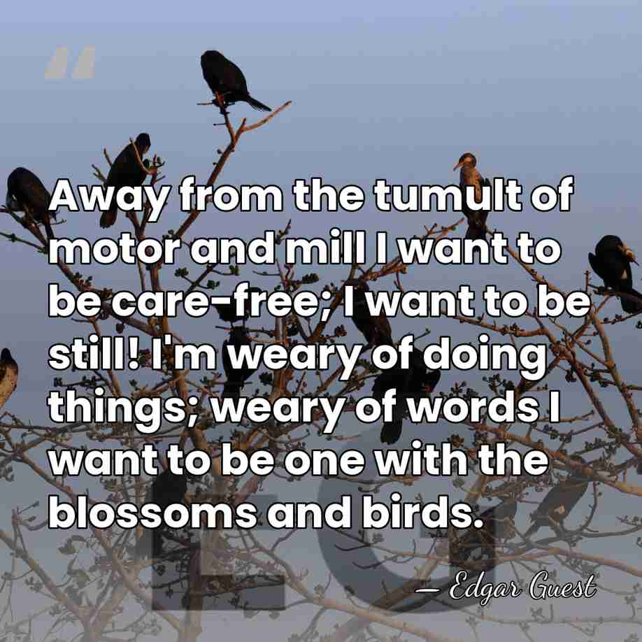 Away from the tumult of motor and mill I want to be&hellip; - Edgar Guest