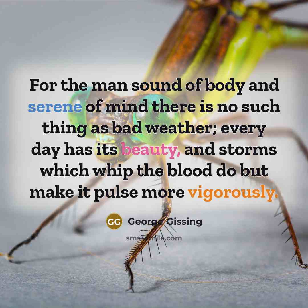“For the man sound of body and serene of mind…” quote by George Gissing