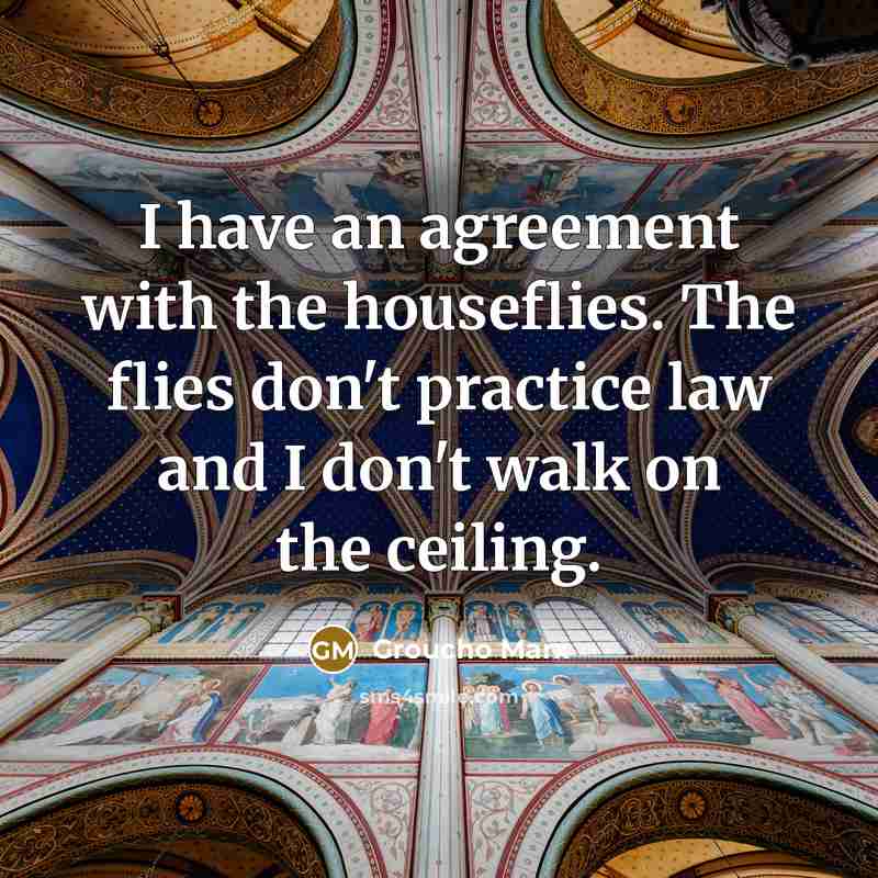 “I have an agreement with the houseflies. The flies don't…” quote by Groucho Marx