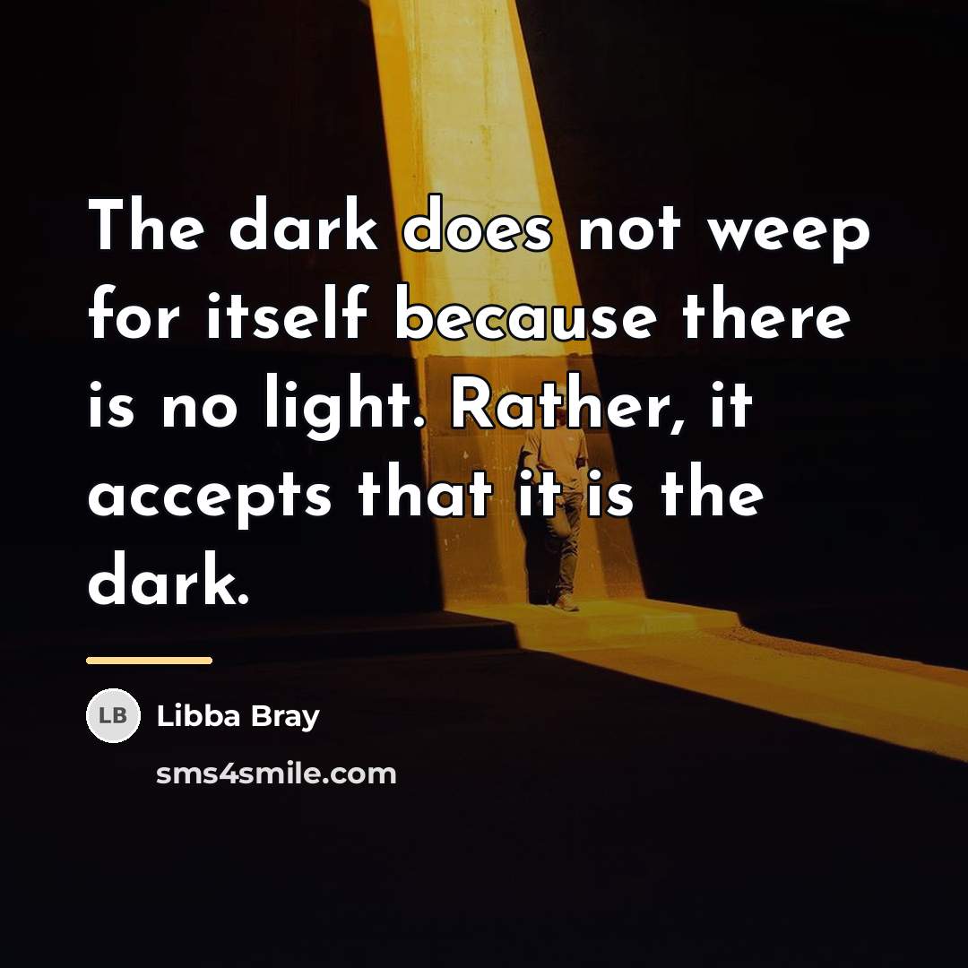 “The dark does not weep for itself because there is…” quote by Libba Bray
