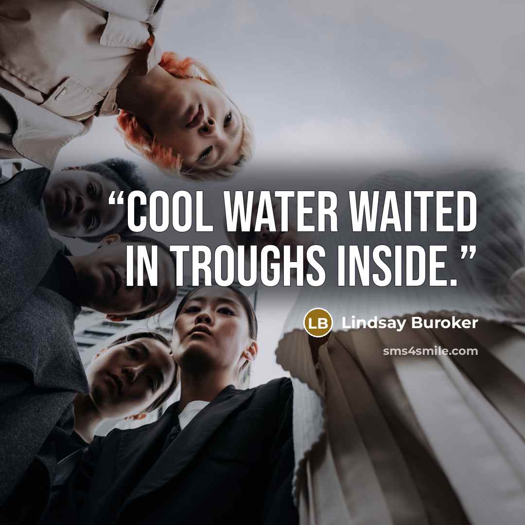 “cool water waited in troughs inside.” quote by Lindsay Buroker