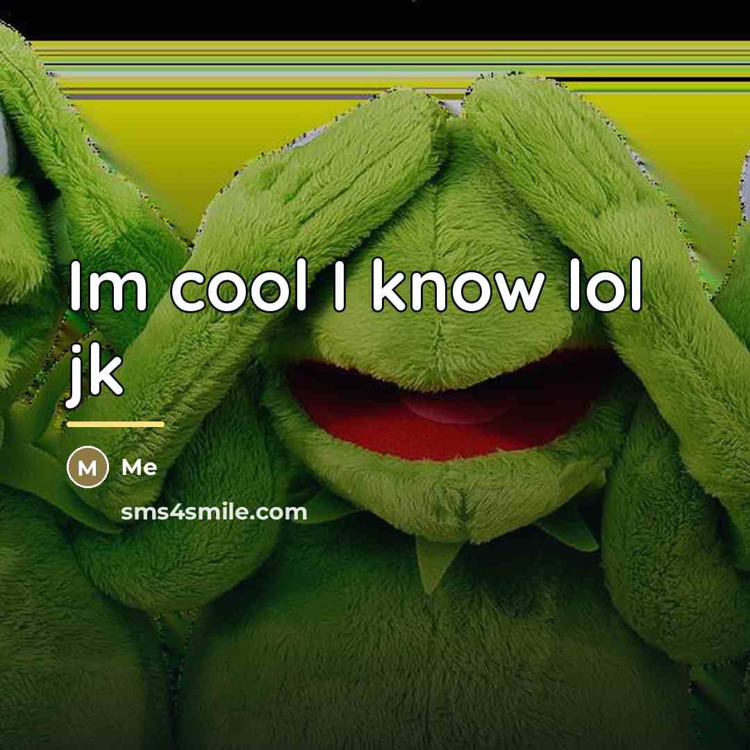 “Im cool I know lol jk…” quote by Me
