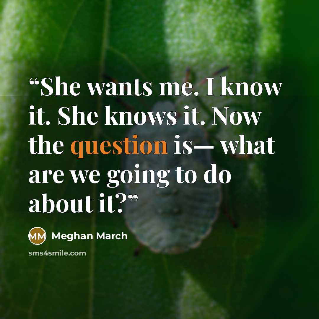 “She wants me. I know it. She knows it. Now the question is— what are we going to do about it?” quote by Meghan March
