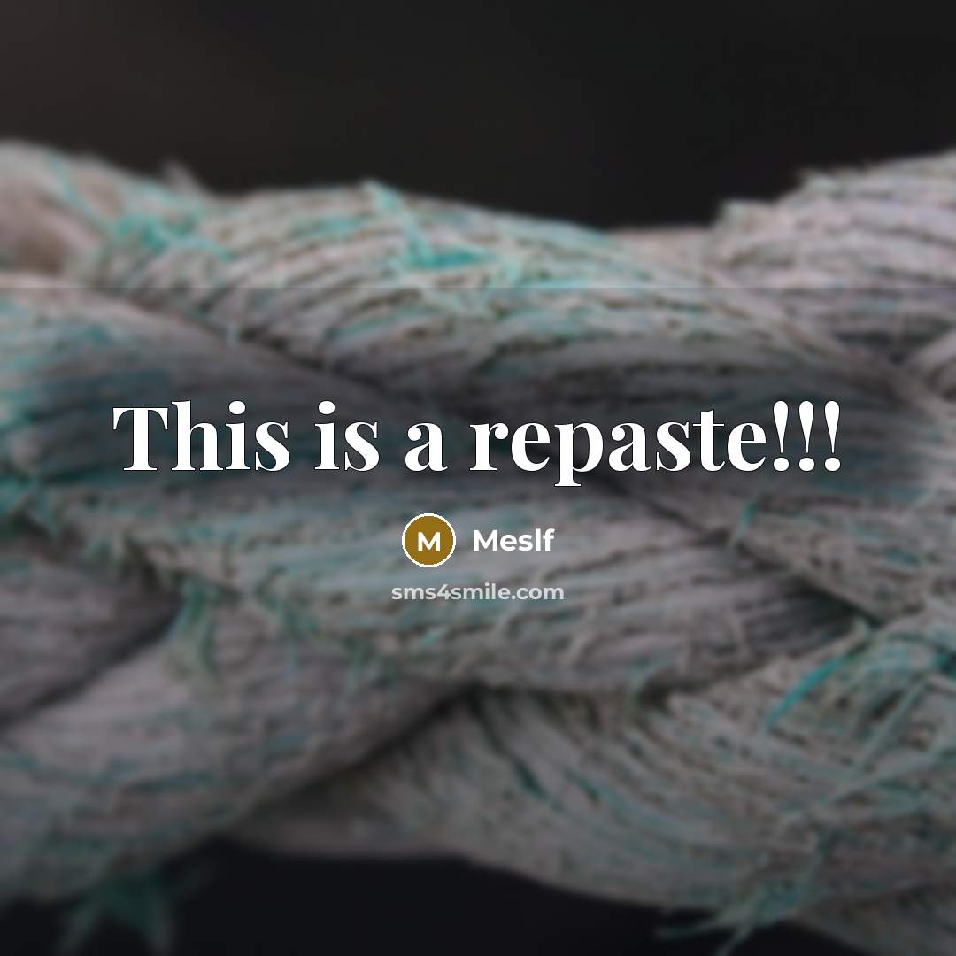 “This is a repaste!!!” quote by Meslf