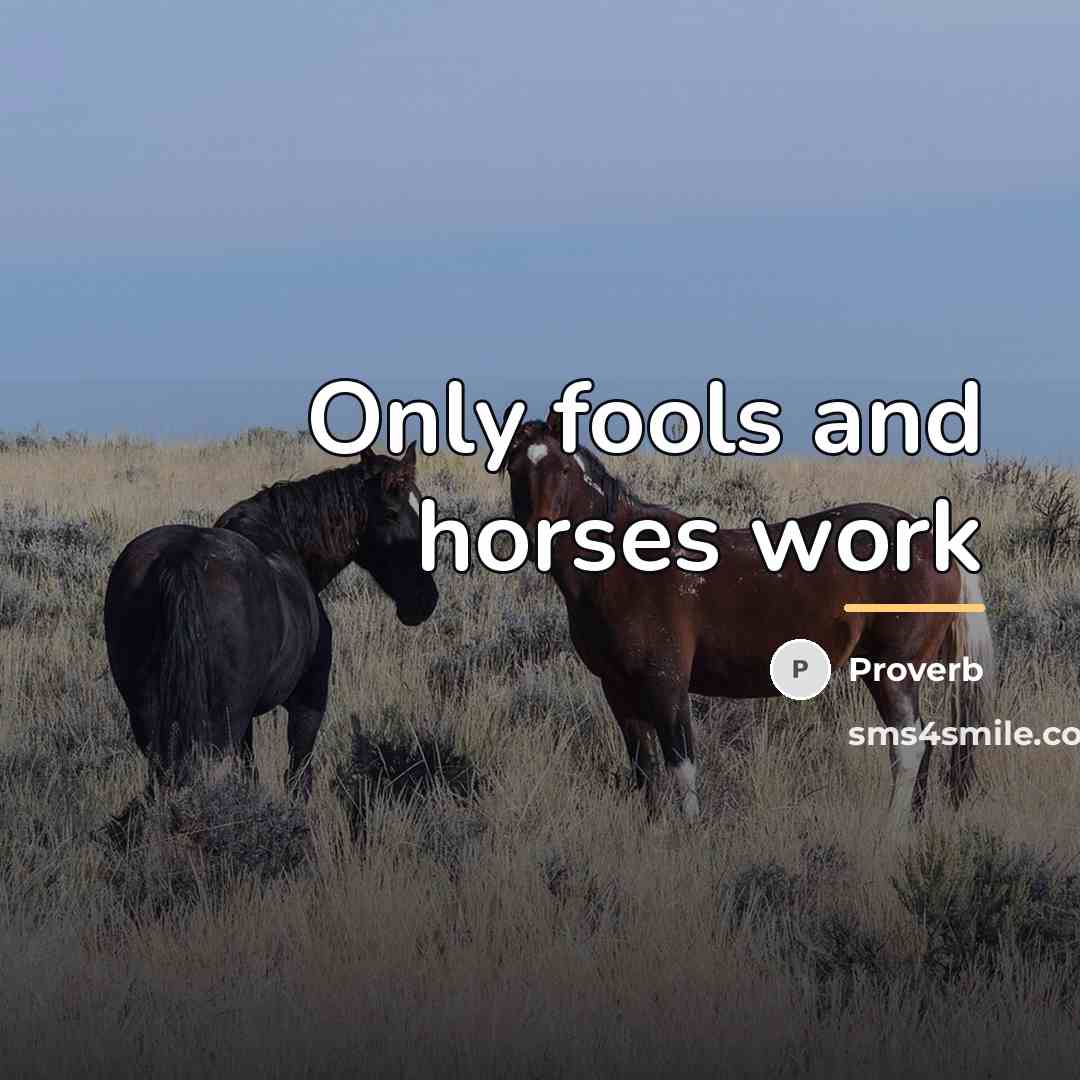 “Only fools and horses work…” quote by Proverb