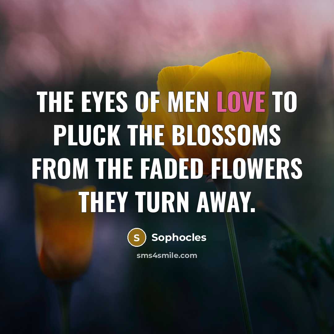 “The eyes of men love to pluck the blossoms from…” quote by Sophocles