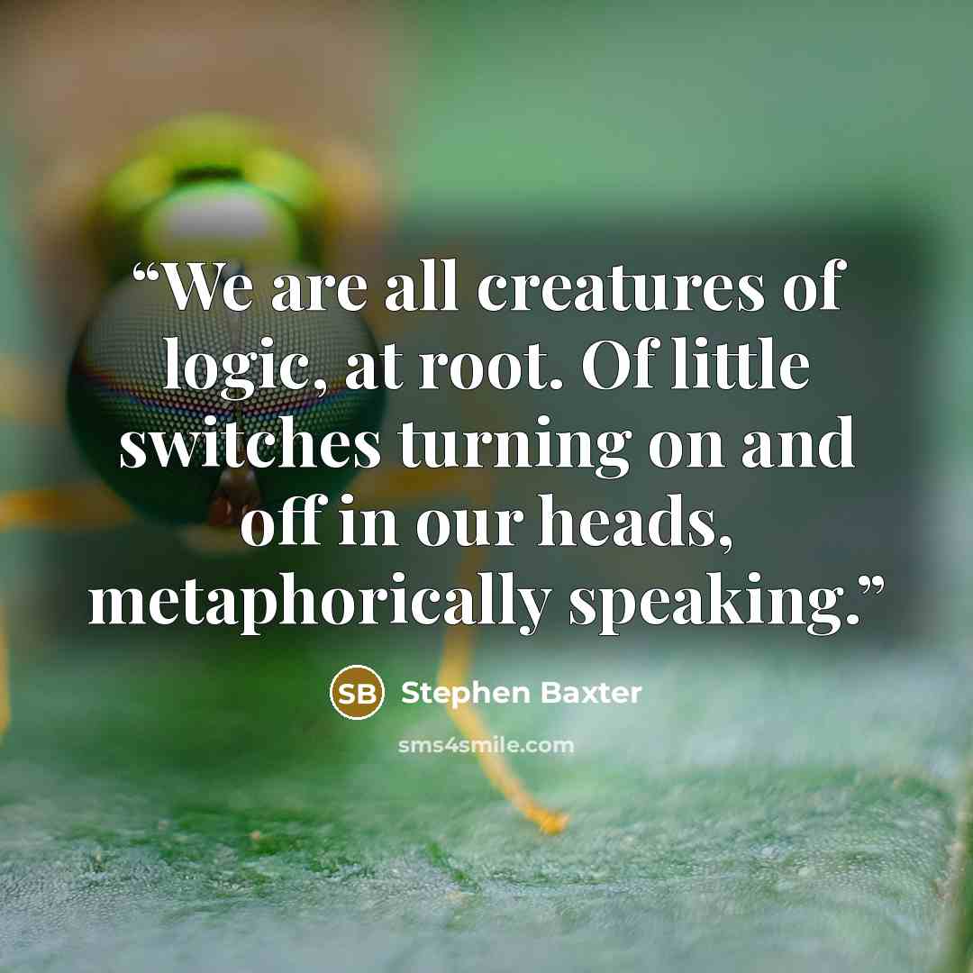 “We are all creatures of logic, at root. Of little switches turning on and off in our heads, metaphorically speaking.” quote by Stephen Baxter