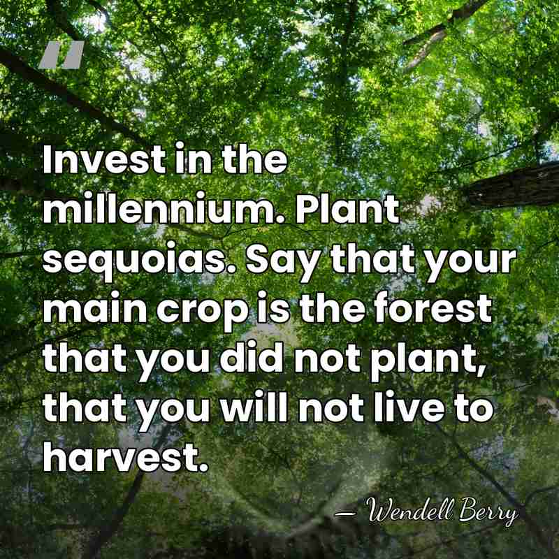 Invest in the millennium. Plant sequoias. Say that your main crop is&hellip; - Wendell Berry