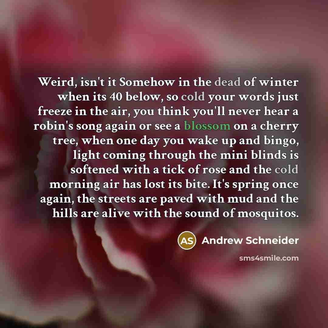 “Weird, isn't it Somehow in the dead of winter when…” quote by Andrew Schneider