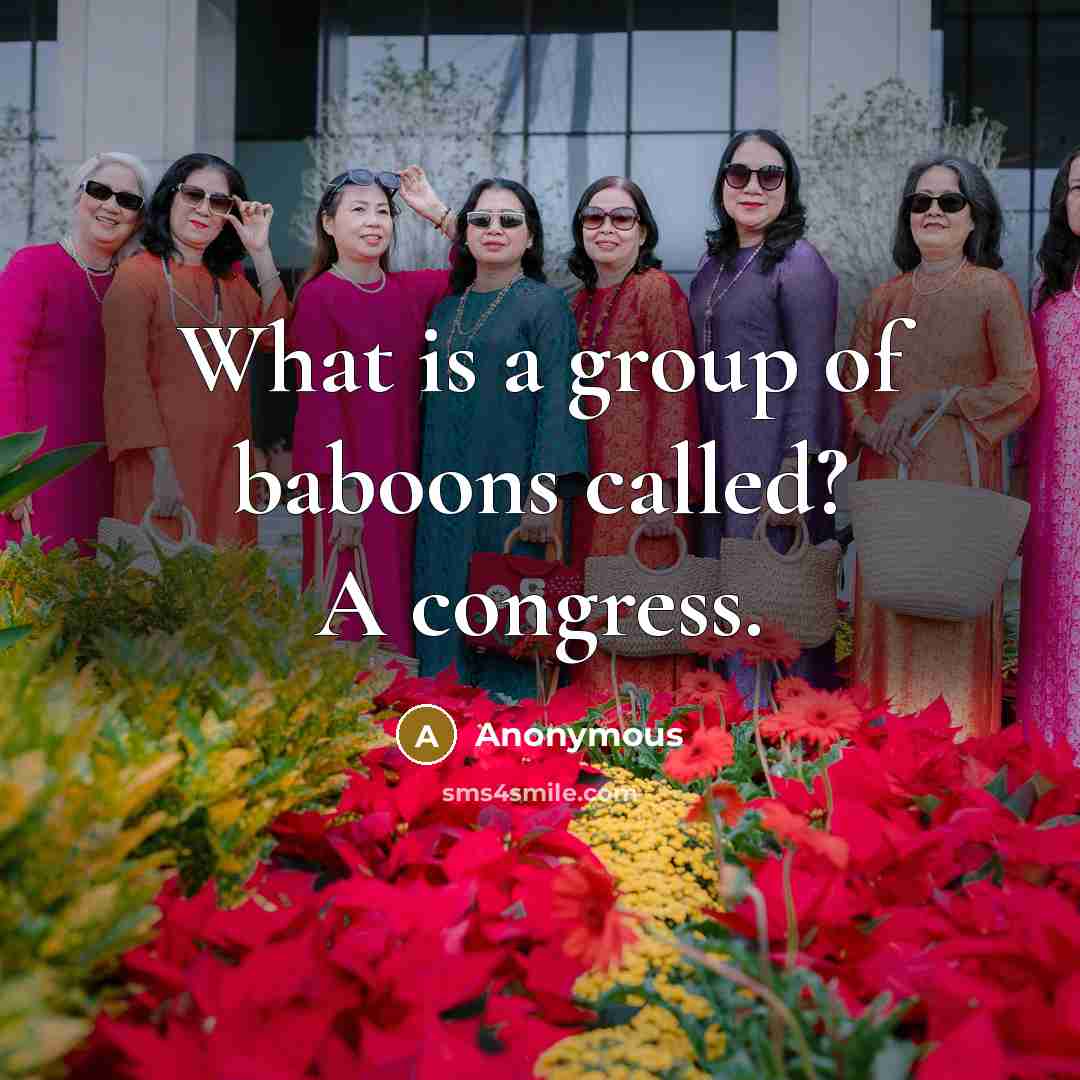 “What is a group of baboons called? A congress.” quote by Anonymous